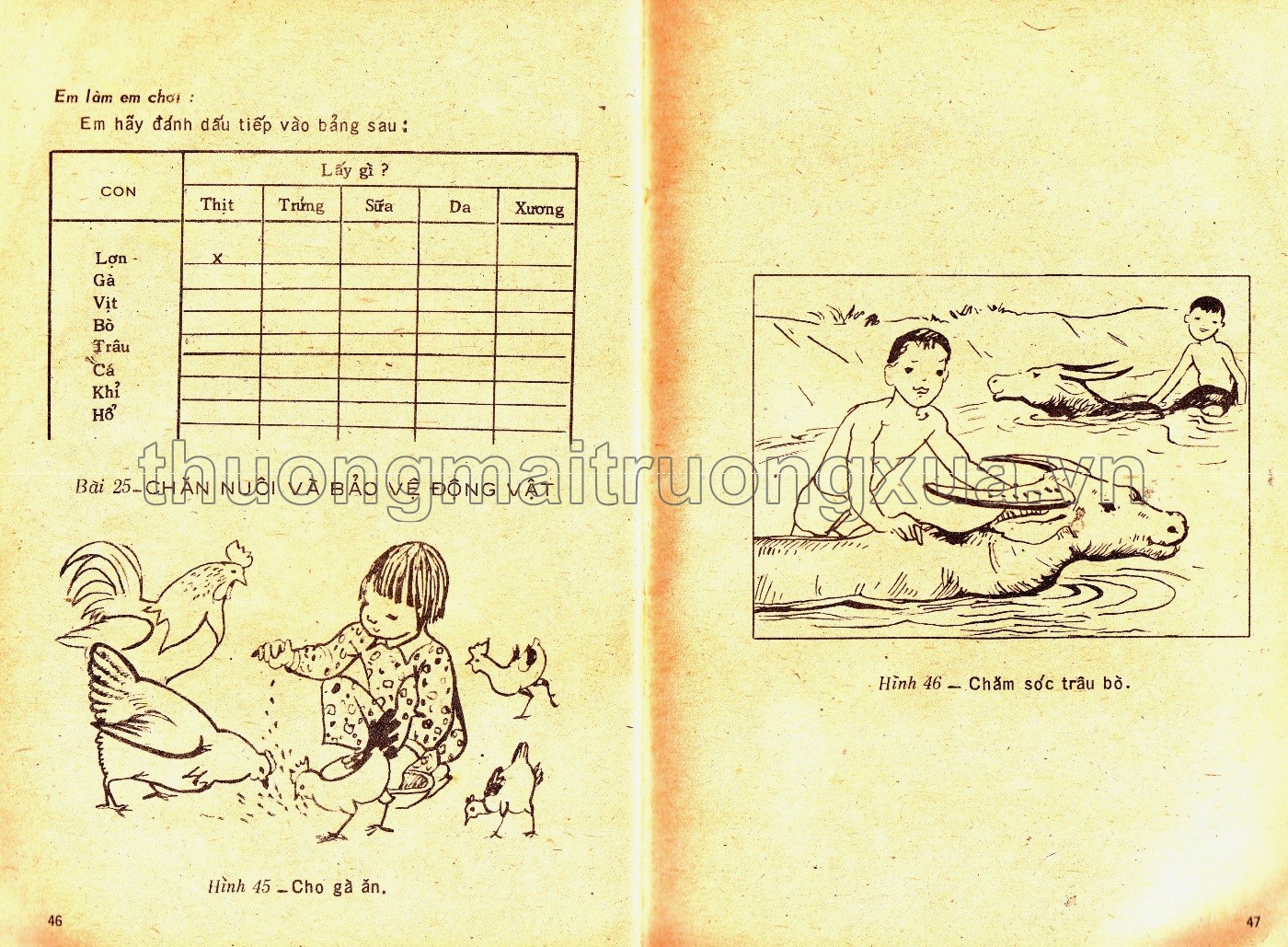 Tìm hiểu khoa học 2 (1983) - Trang 26