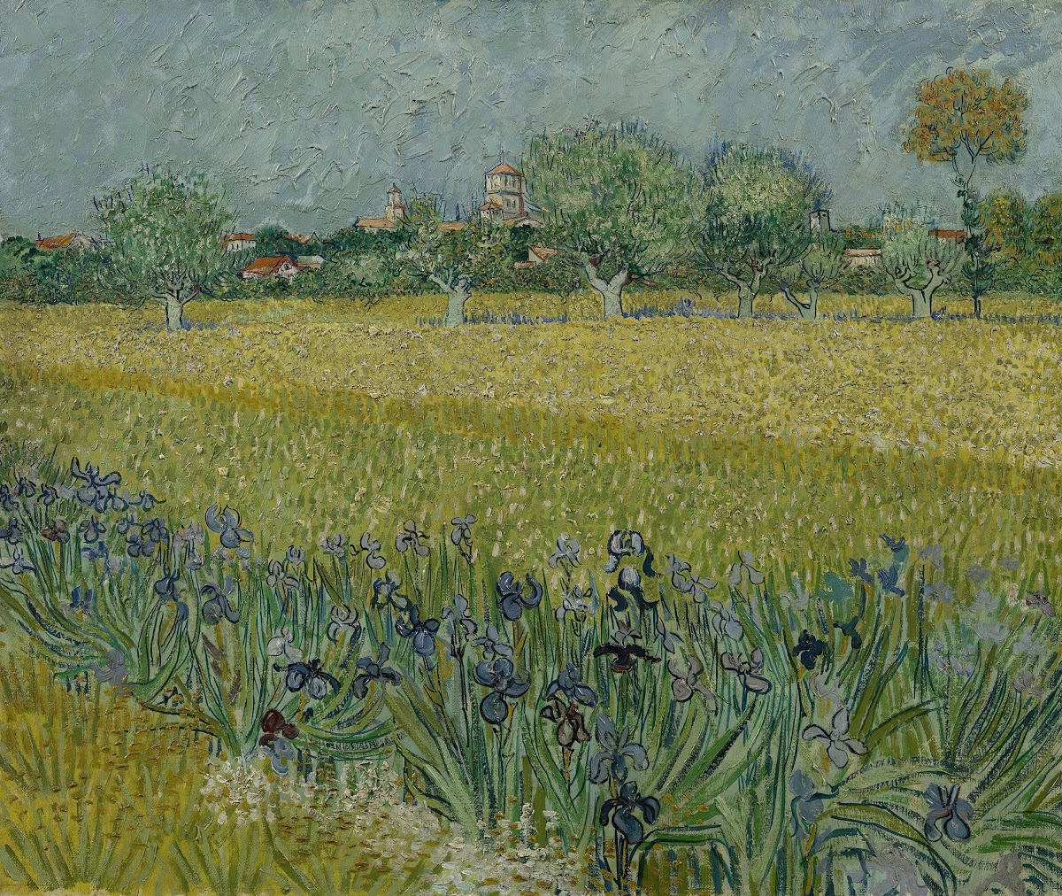 View of Arles with Irises 1888