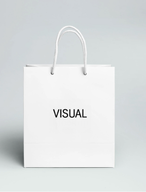 비주얼 쇼핑백 대