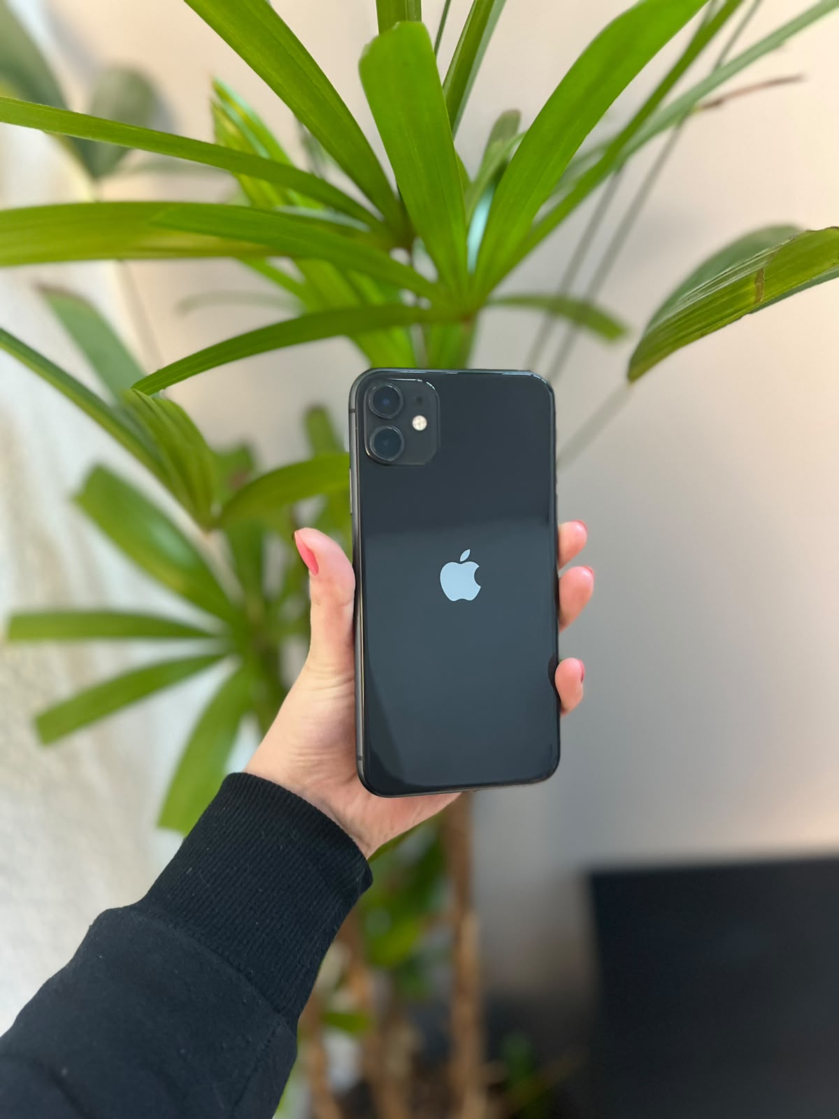 iPhone 11 64GB Preto