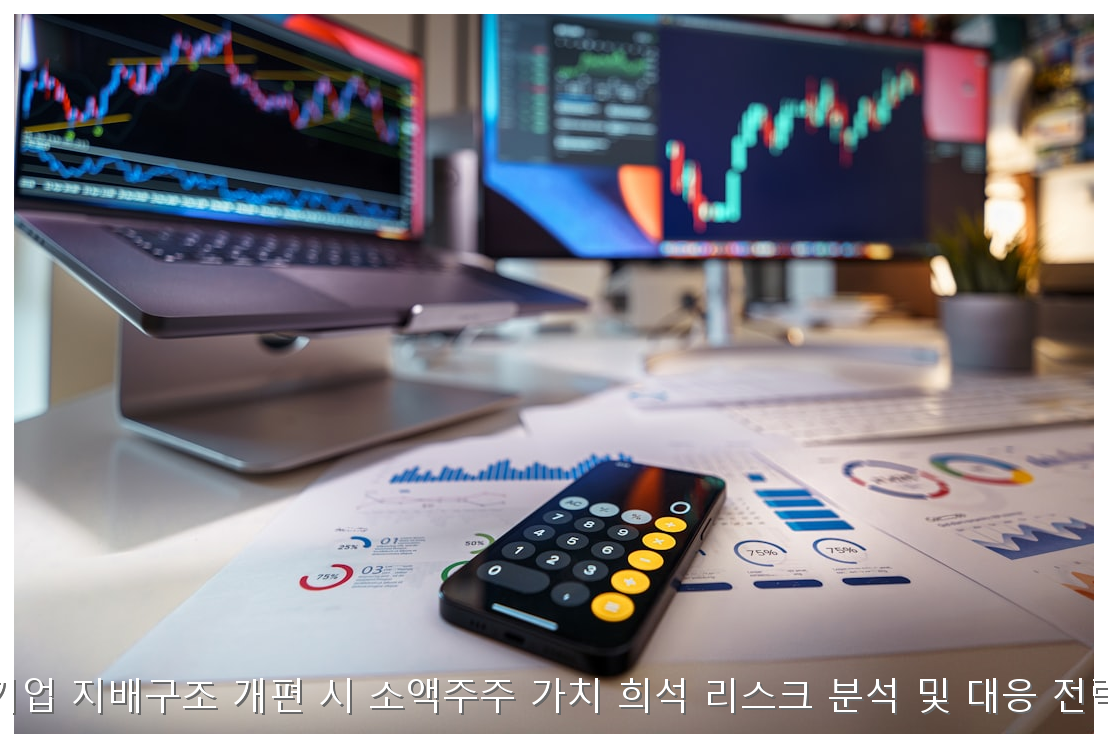 기업 지배구조 개편 시 소액주주 가치 희석 리스크 분석 및 대응 전략 핵심 안내 및 분석 인포그래픽 (5)