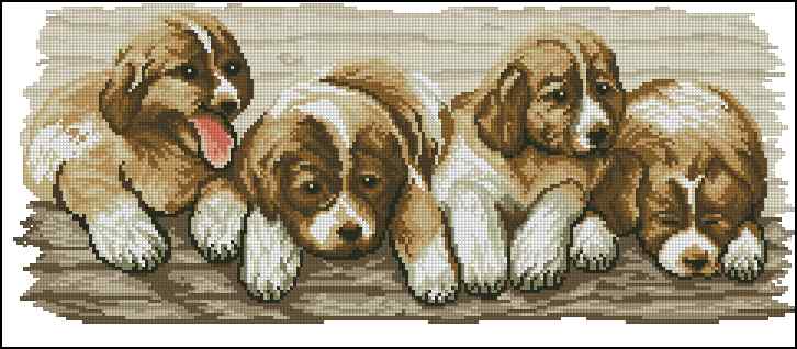 CMP 400170 Cute Puppies
