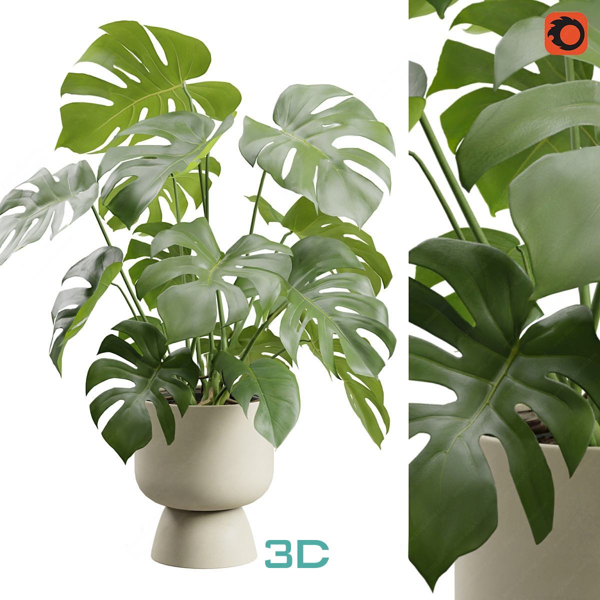 978.Sell Album Indoor Plant PRO Vol 01