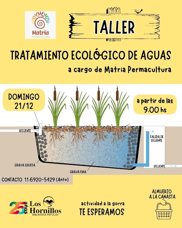 Taller de Biofiltros para Aguas Residuales 💩