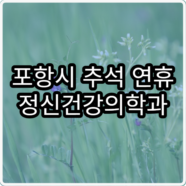 포항시 추석 연휴 정신건강의학과 진료 병원 이용 가이드