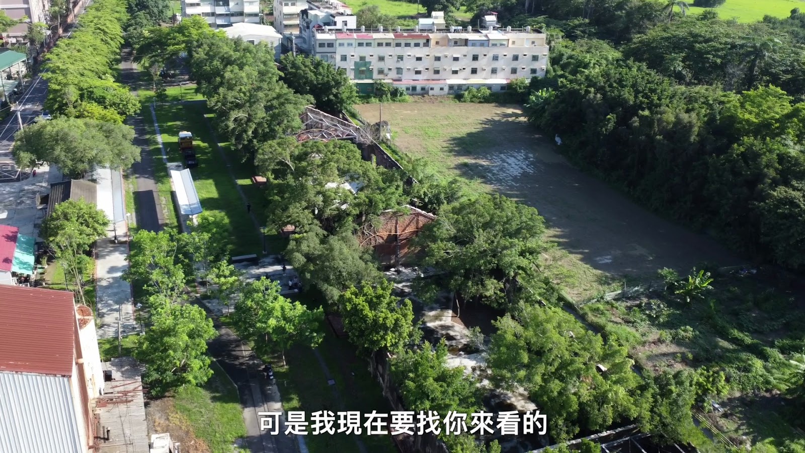 米可白台南老樹一日遊 screenshot 7