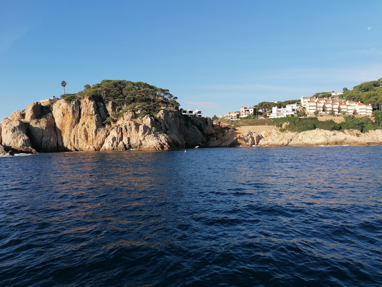 palma
