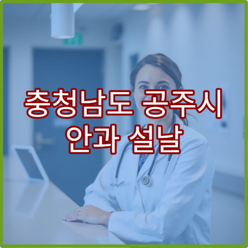충청남도 공주시 안과 설날 연휴 안구건조증·시력 저하 상담 진료 병원