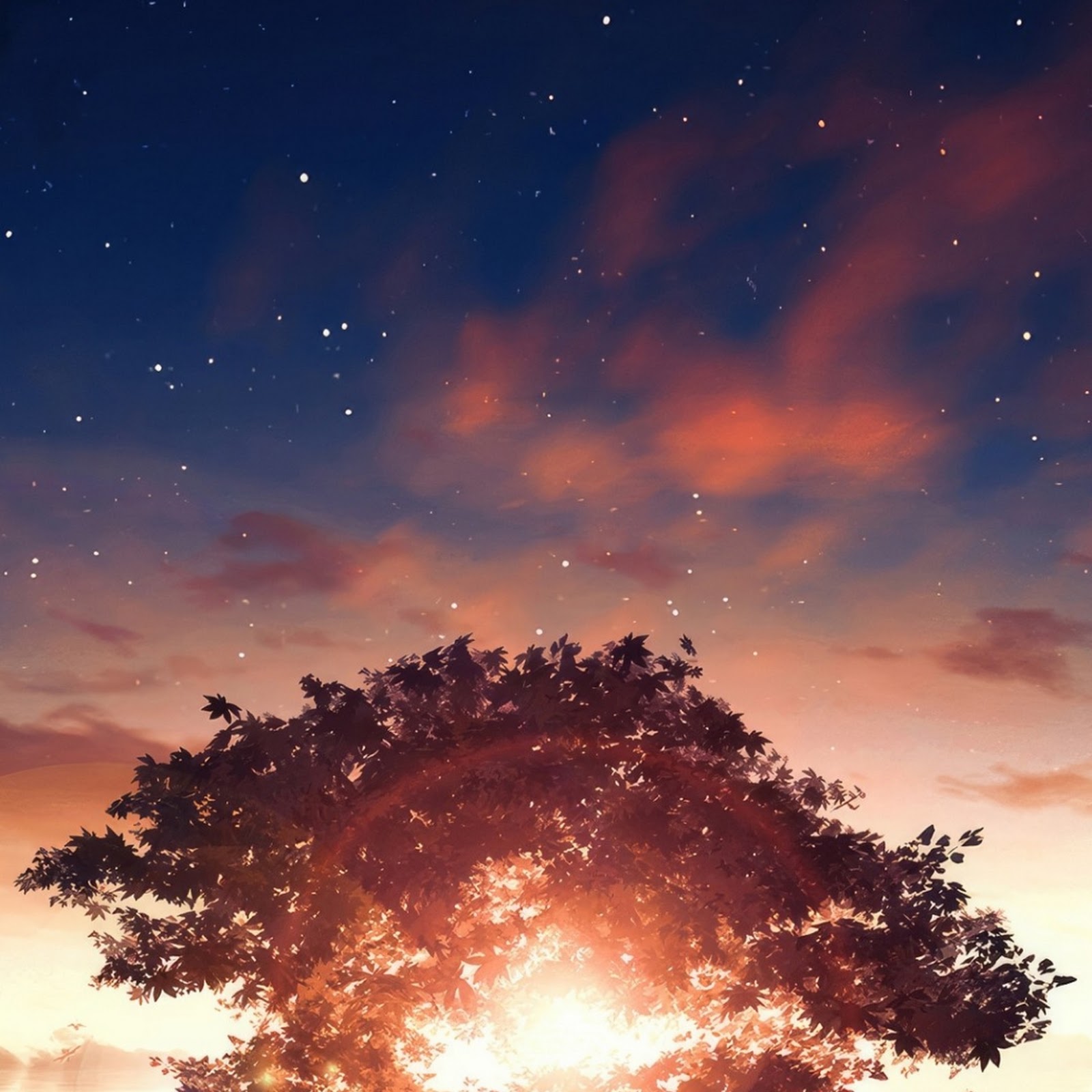 Download Glowing Tree on Quiet Water iPhone
