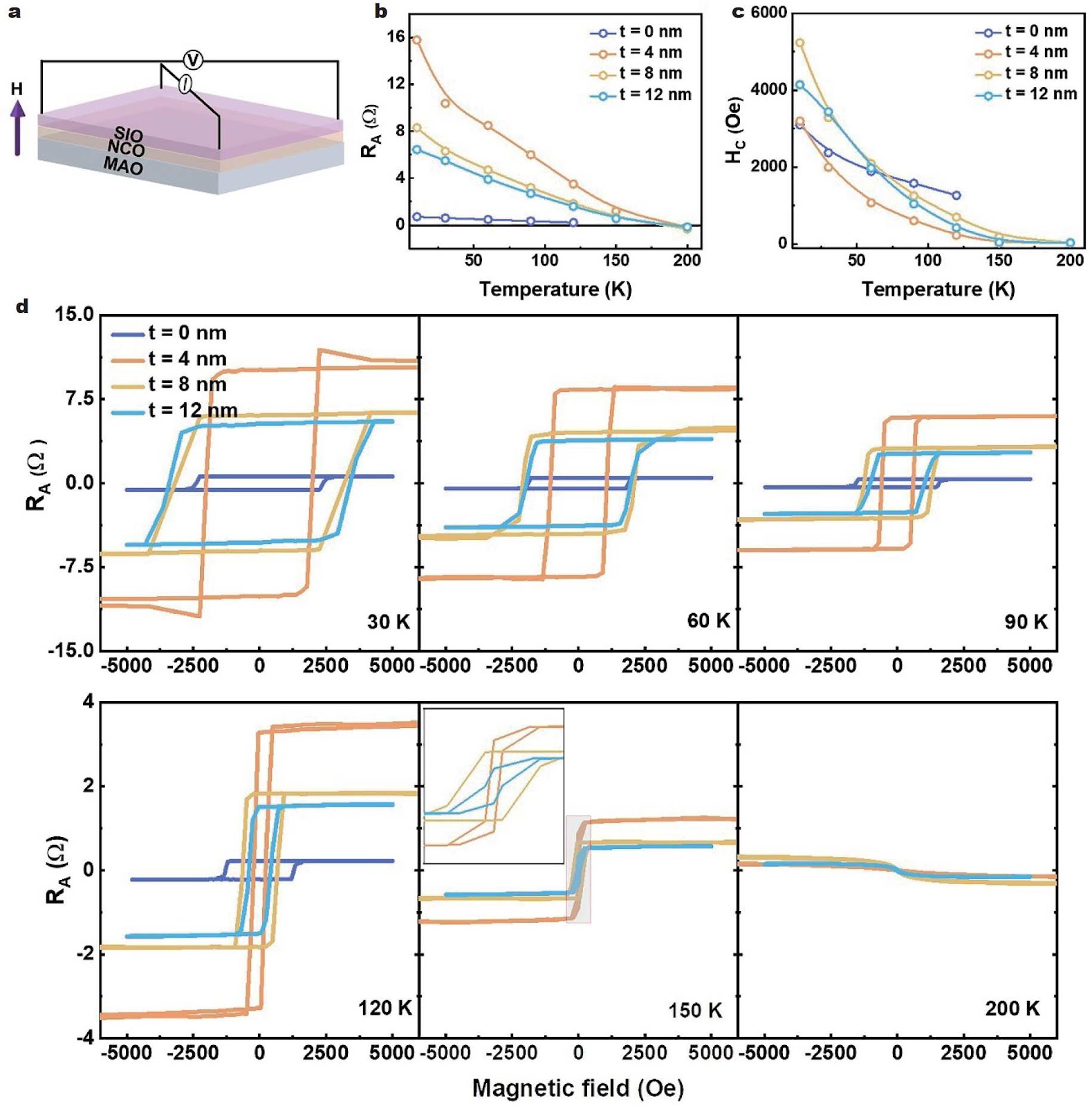 Enhancement of anomalous Hall effect in SrIrO3/NiCo2O4 heterostructures induced by interfacial charge transfer