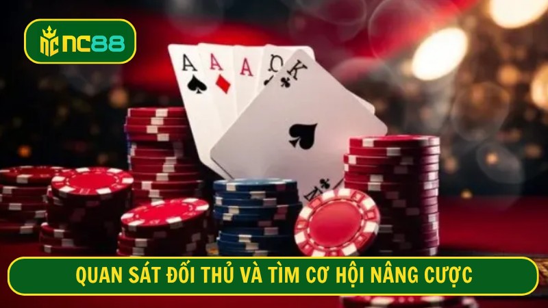 Quan sát đối thủ và tìm cơ hội nâng cược