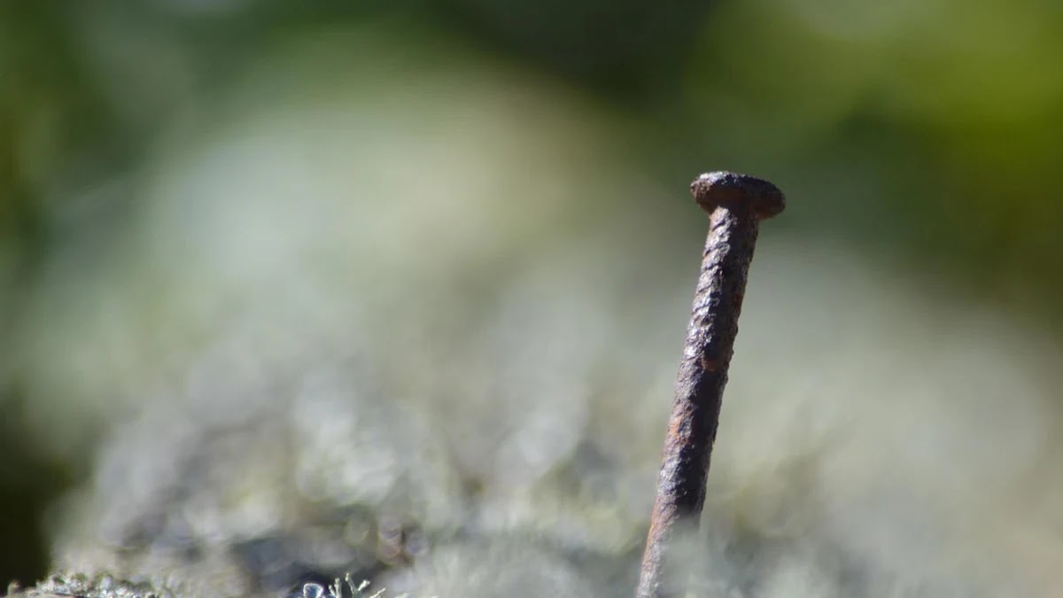 월급날부터 시작하는 자동이체