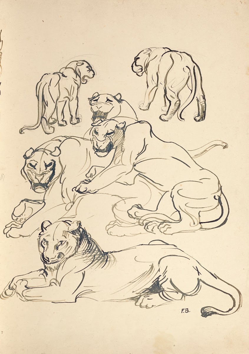 Sechs Pumas 1914