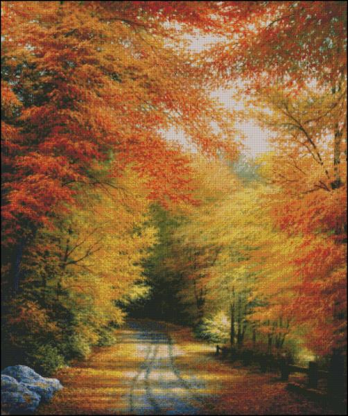 CMP 320418 Autumn In New England