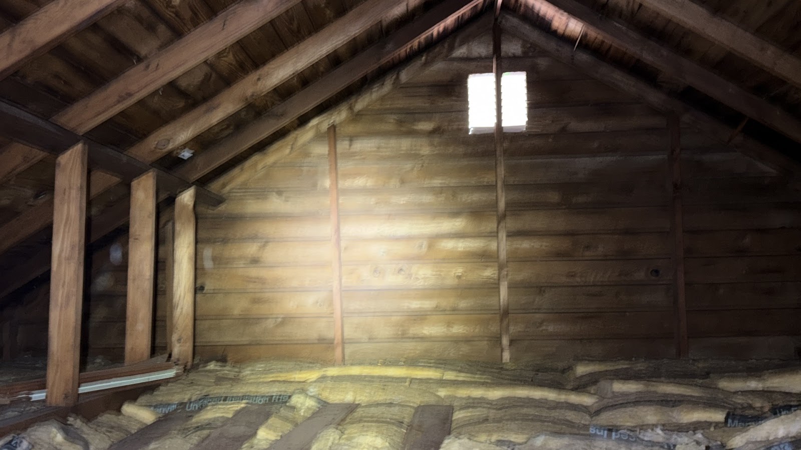 Copy of IMG_2026-03-13_14-12-41_145.jpg