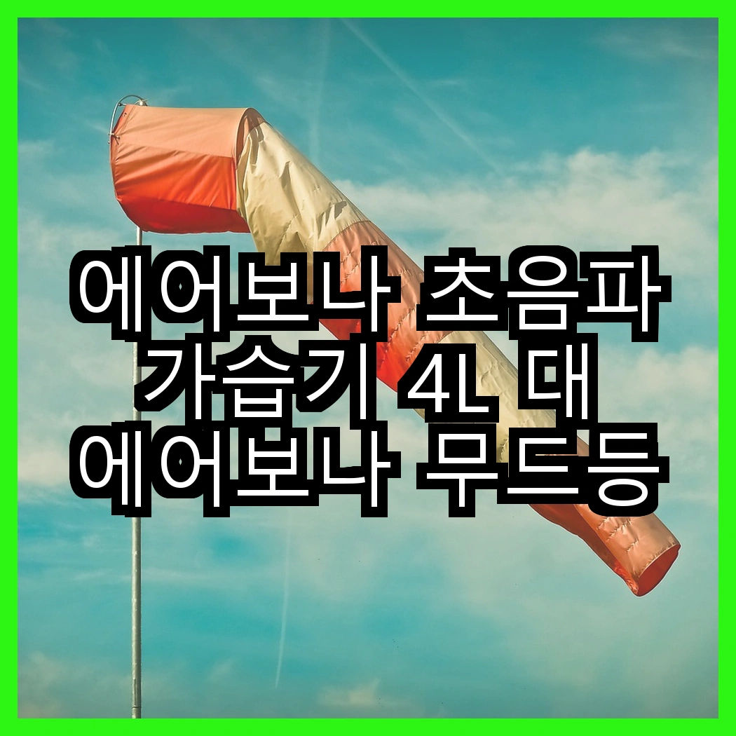 에어보나 초음파 가습기 4L 대 에어보나 무드등 대용량 모델, 어떤 차별점이 있을까? 썸네일