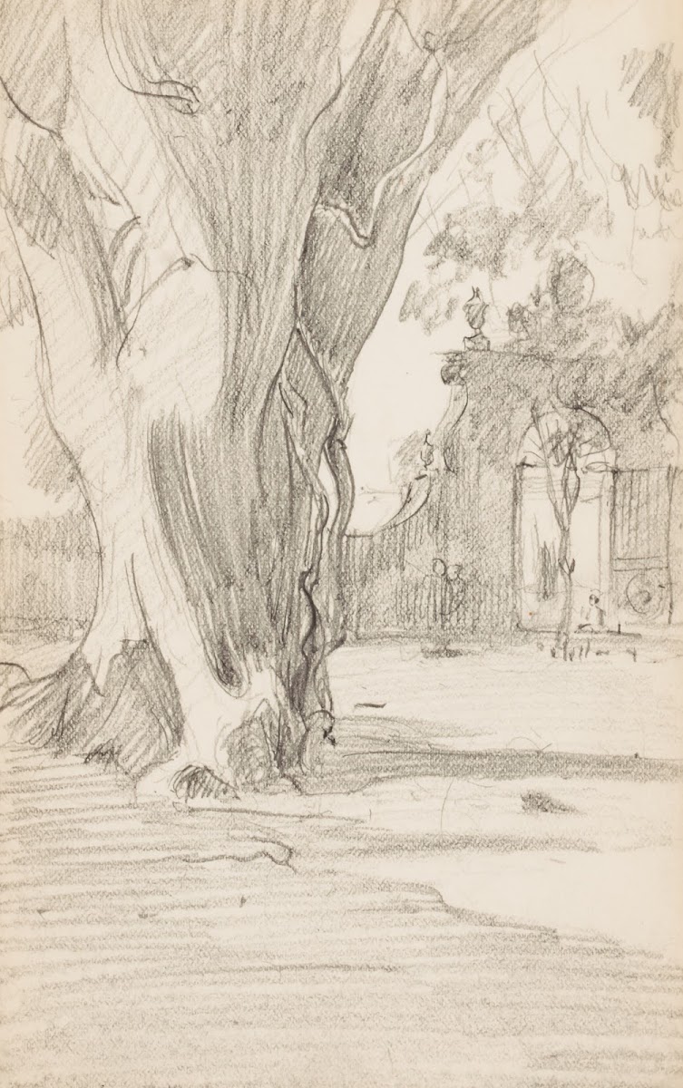 Tree Trunk with Gate