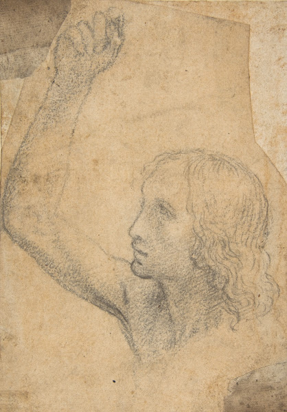 Youth with Right Arm Raised in a Shoulder Length Portrayal preparatory study for