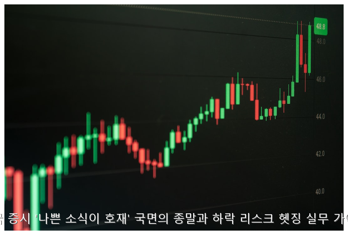 미국 증시 하락장 대응 헤징 실무 가이드 핵심 안내 및 분석 인포그래픽 (3)