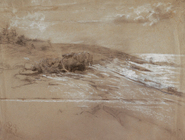 Seacoast With Scrub Pines Prouts Neck Eastern Point 188490