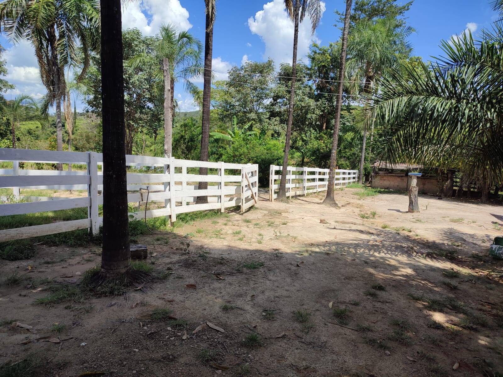 Fazenda em Uruana-GO 2