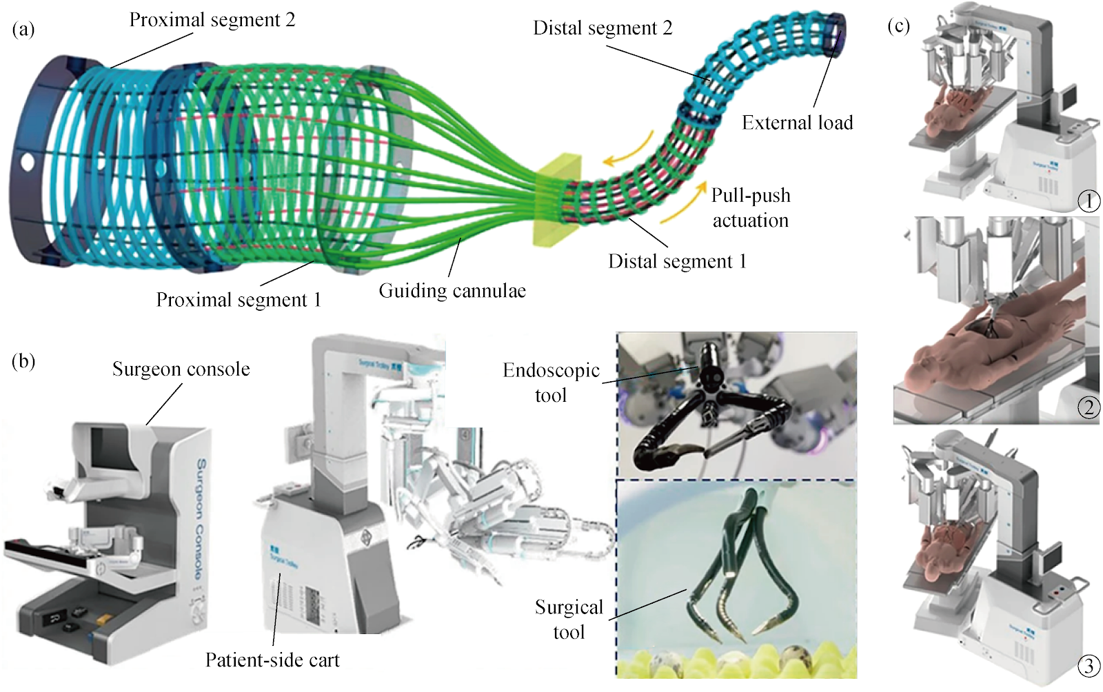 A Multi-Scale Robotic System for Autonomous Surgical Intervention in Dynamic Environments