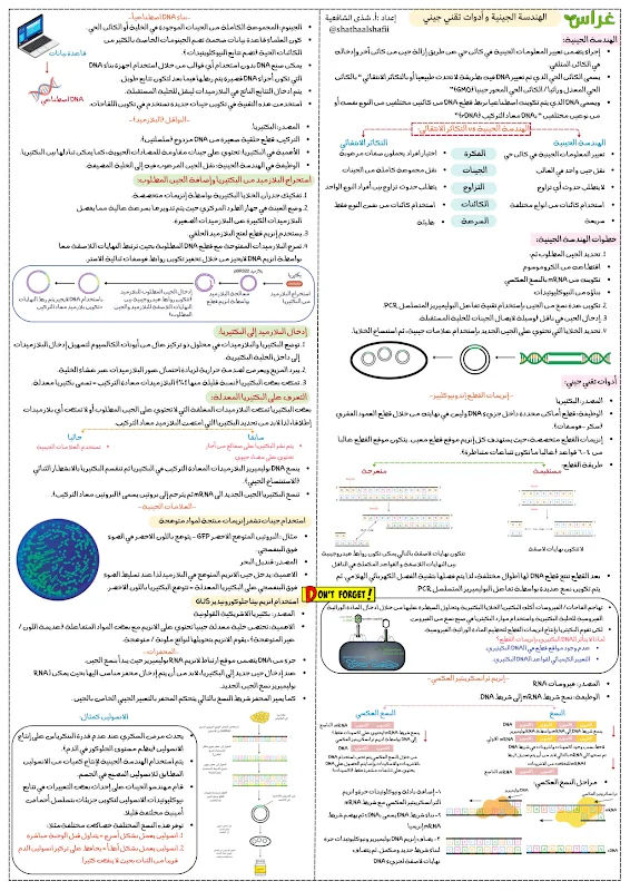 صورة الغلاف