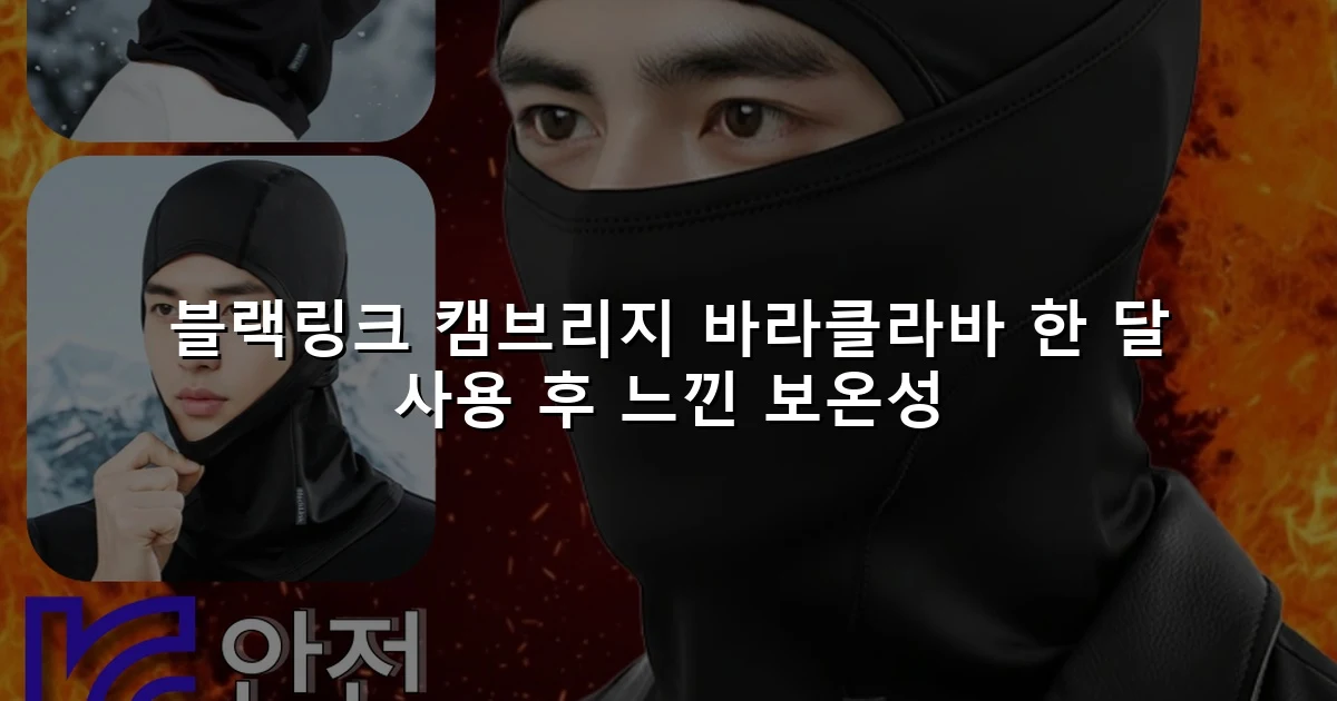블랙링크 캠브리지 바라클라바 한 달 사용 후 느낀 보온성