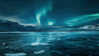 Night Nature Wallpaper