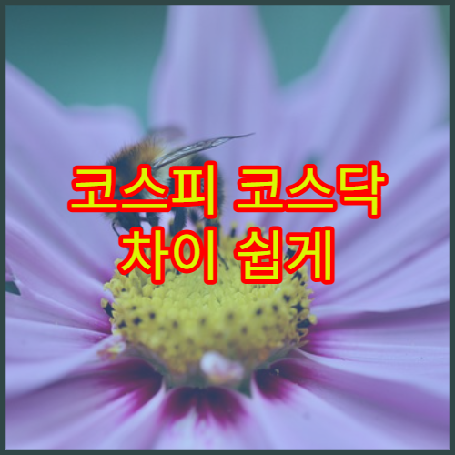 코스피 코스닥 차이 쉽게 설명 시장 구조와 투자 특징 비교