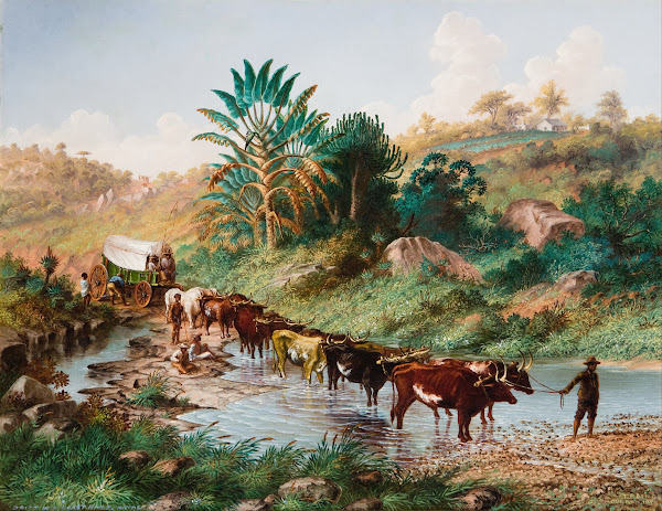 Wagon Crossing A Drift  Natal 1874