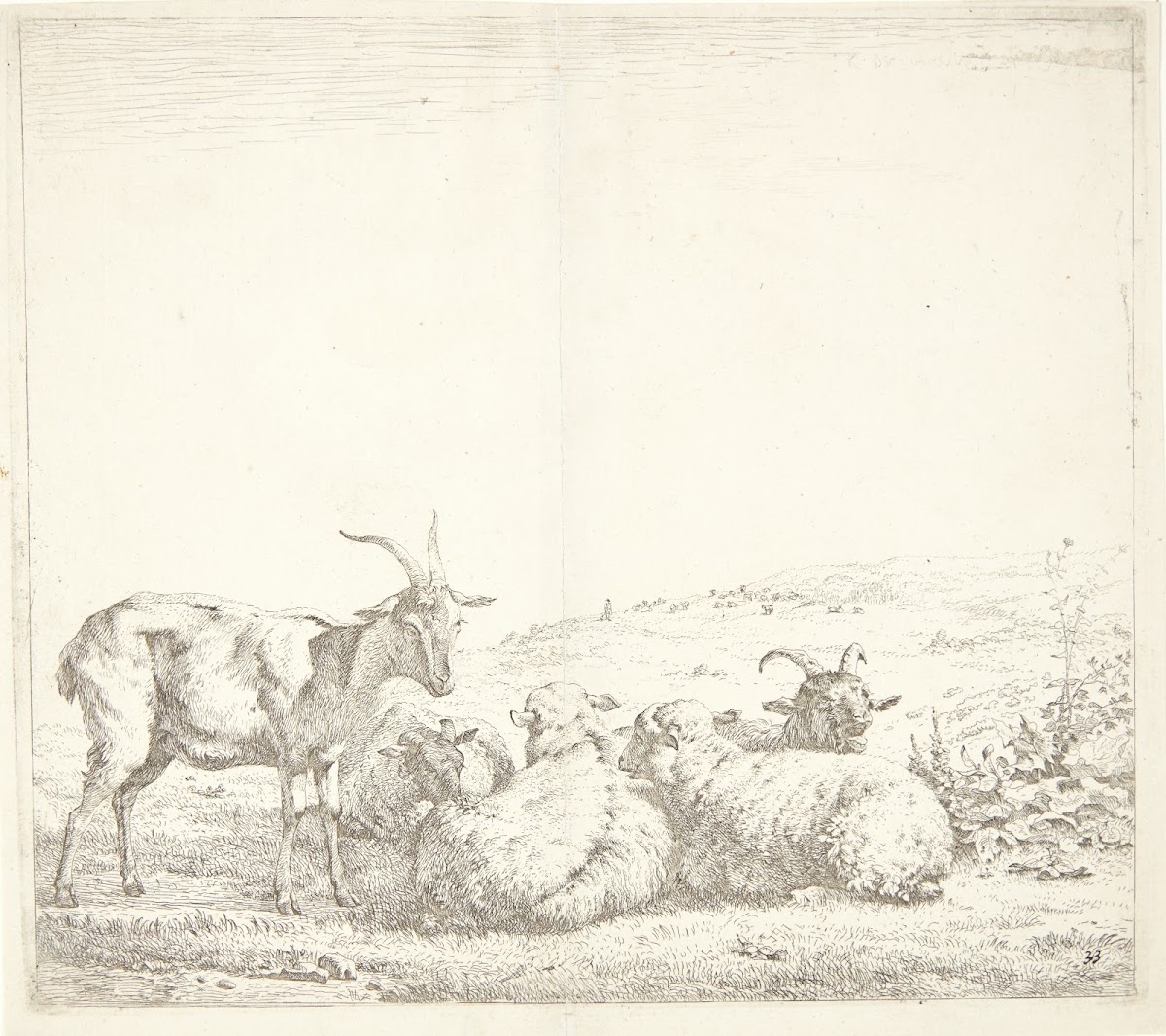 Tre geder og to får 1655