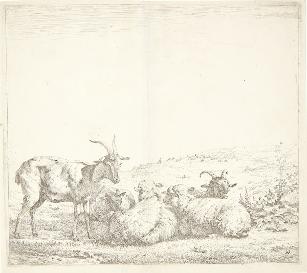 Tre geder og to får 1655