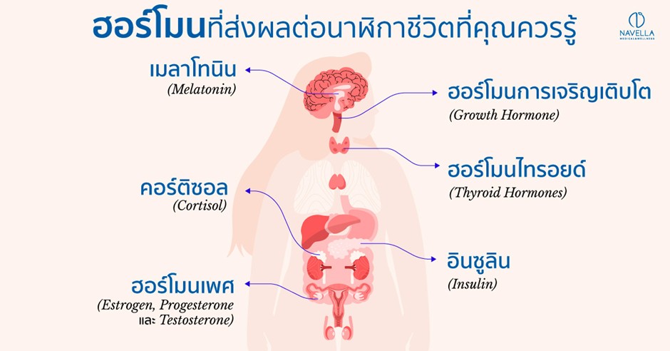 Navella Medical and Wellness