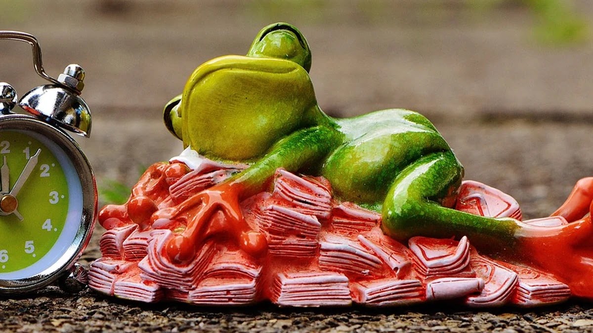 SSG머니 활용법과 멤버십 중복할인으로 패션 아이템 최저가 쇼핑하기