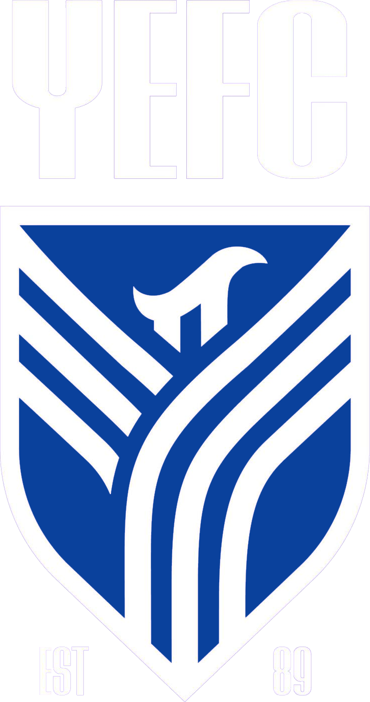 Yeronga Eagles logo