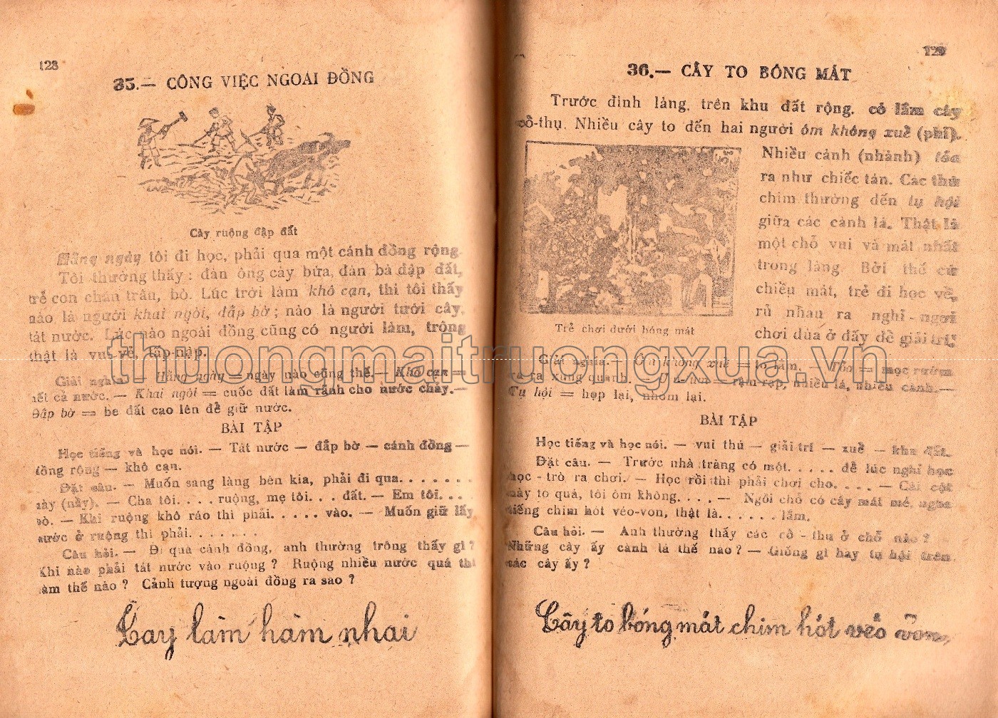 Sách học Quốc văn lớp năm (1952) - Trang 248