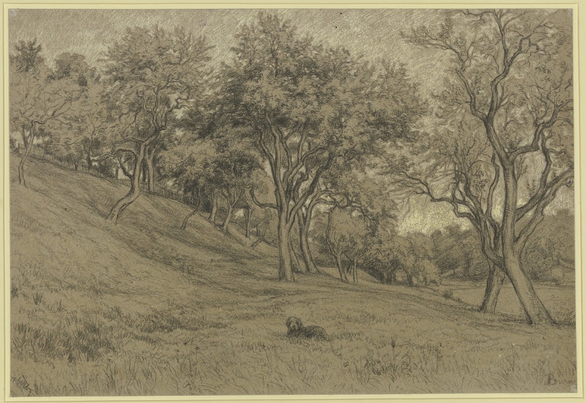 Garden with fruit trees