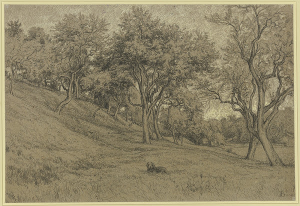 Garden with fruit trees