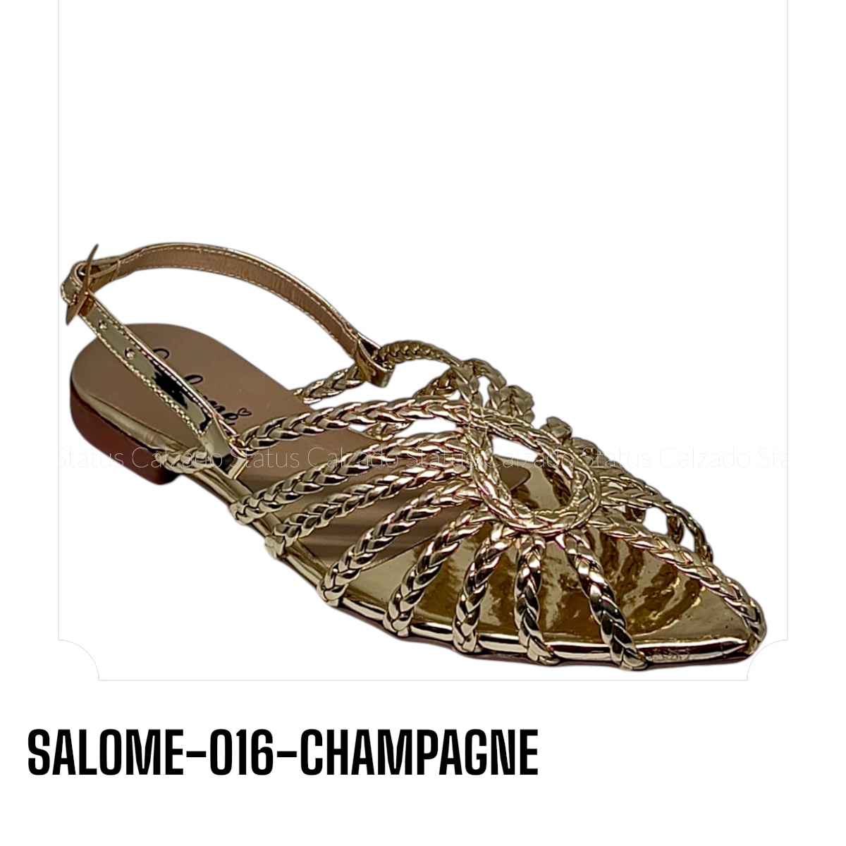 SALOME-O16-CHAMPAGNE