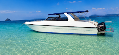 VIP boat 2