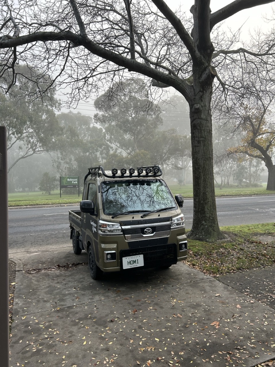Misty morning over the adjacent green space