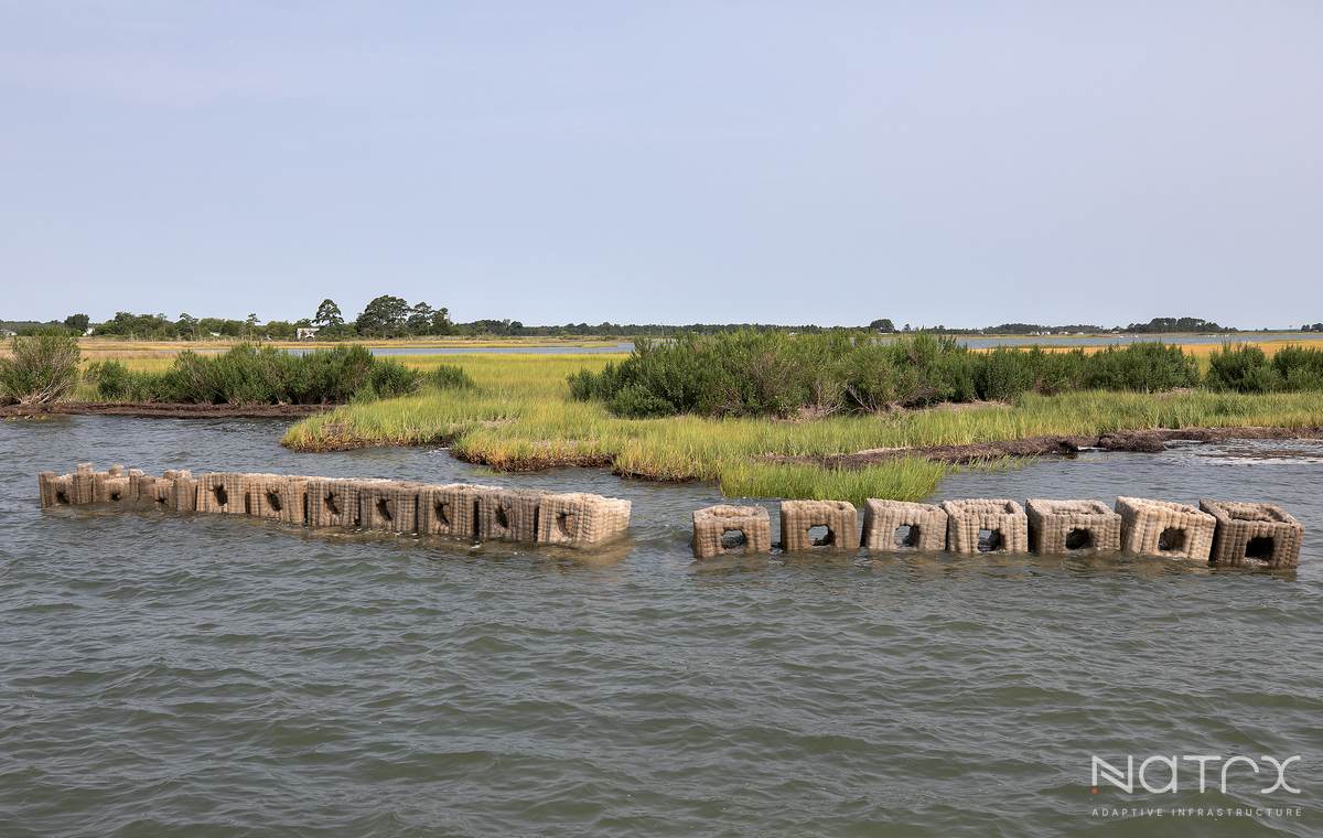 mppdc reefs 08-03-2023 13.jpg