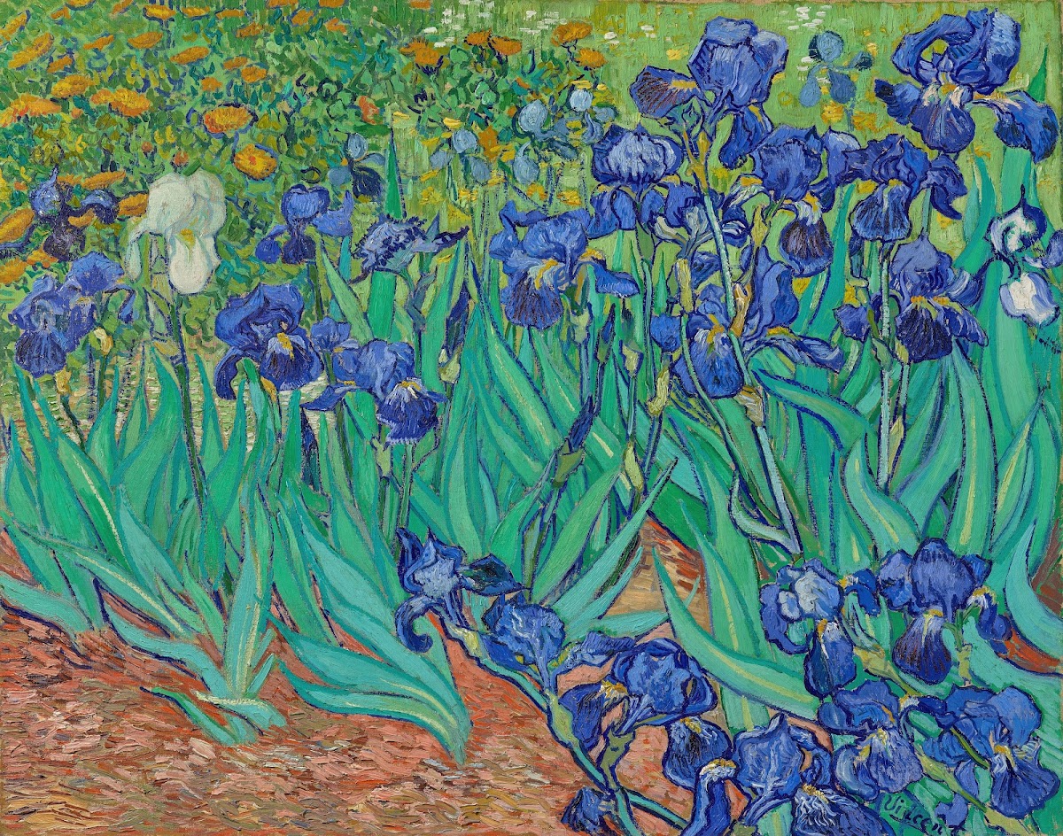 Irises 1889