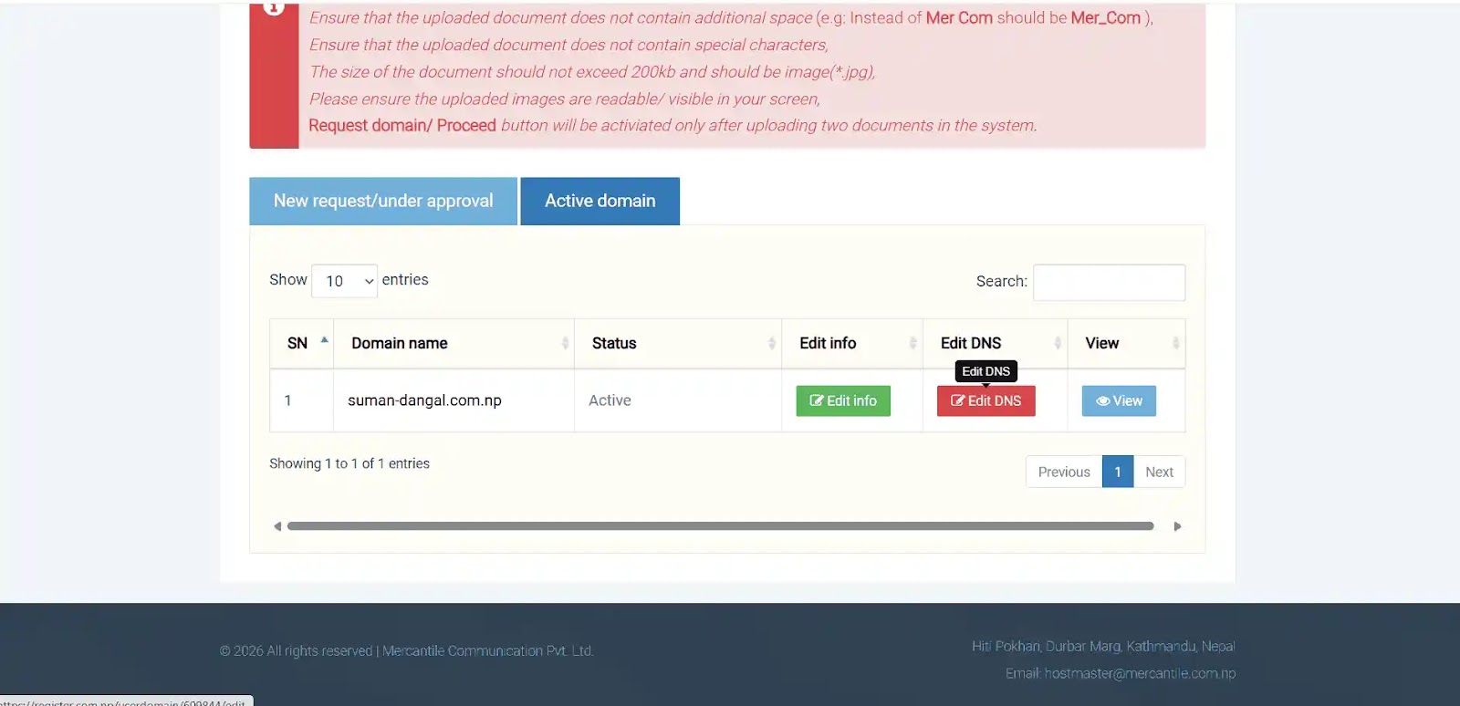 Active domain with edit DNS button visible