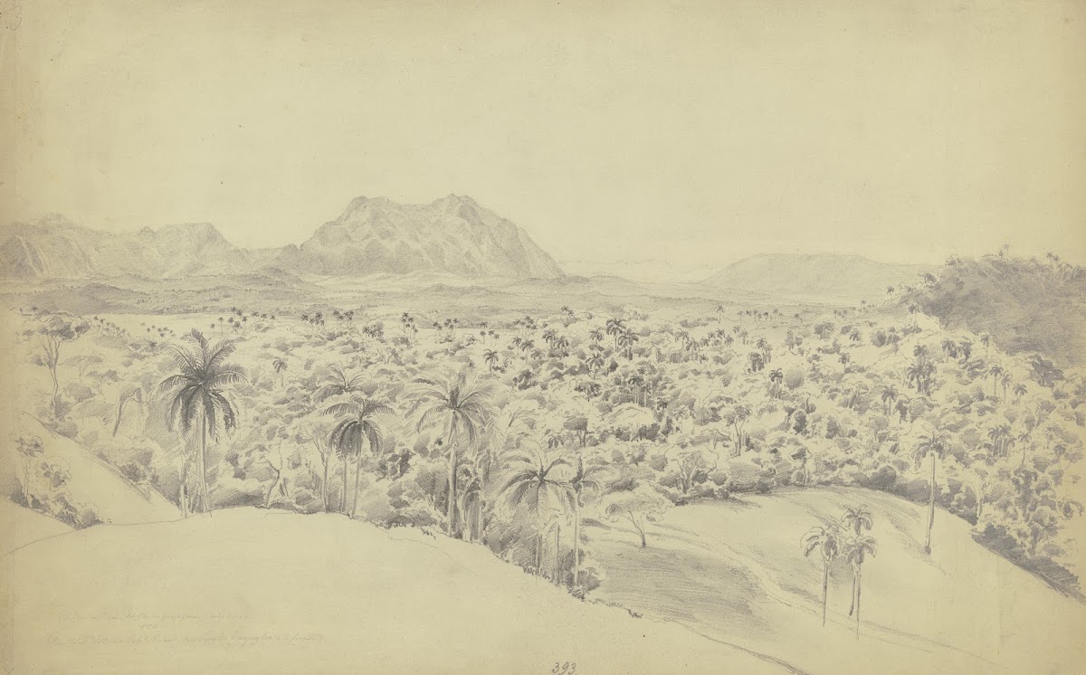 Blick auf den Pan de Guajaibón auf Kuba 1852