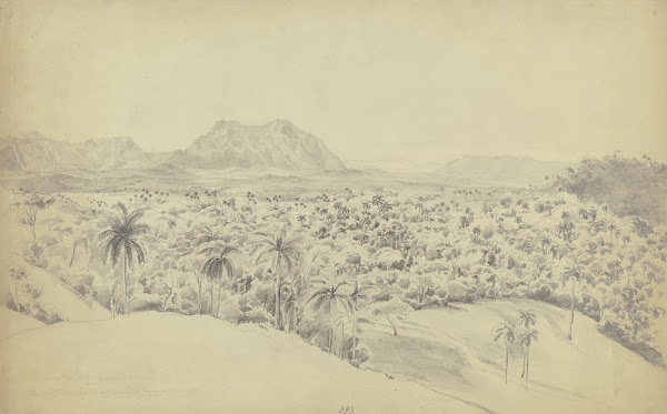 Blick auf den Pan de Guajaibón auf Kuba 1852