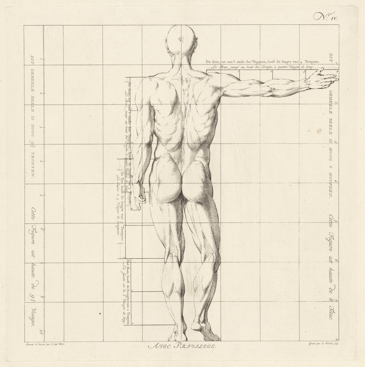 Proportional study of a mans body 1747