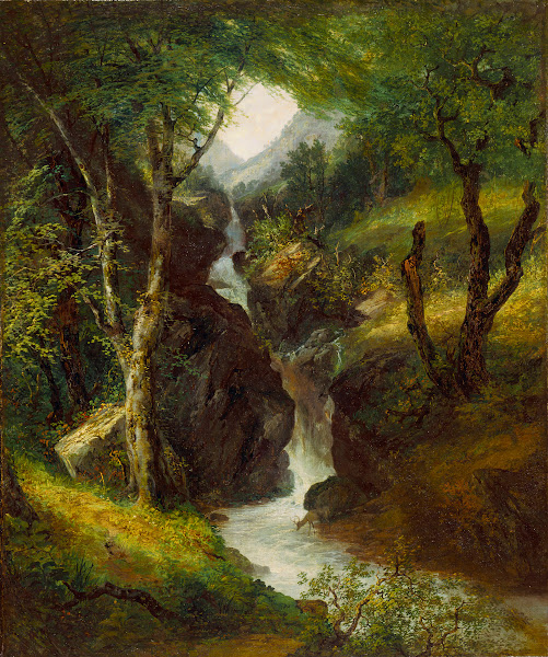 Cascade in the Forest 1852
