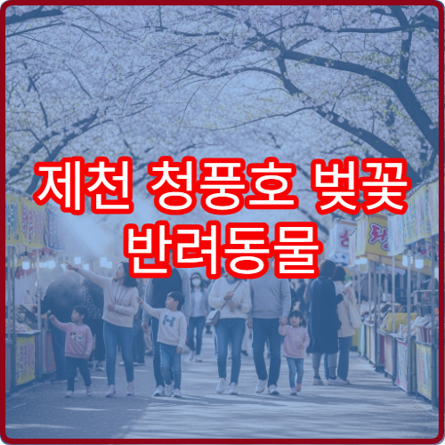 제천 청풍호 벚꽃 반려동물 산책 허용 구역과 안전 가이드